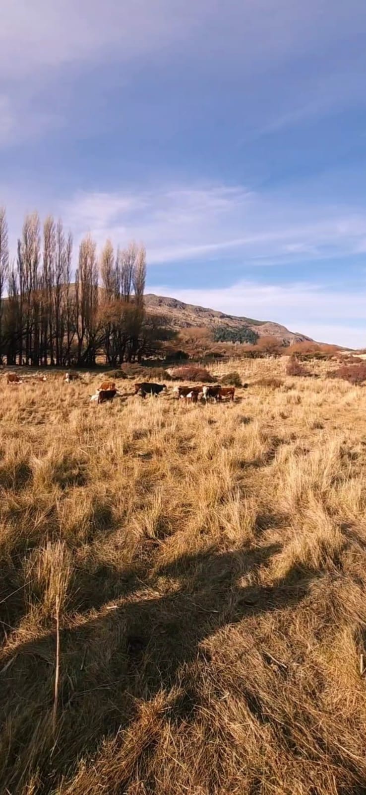 cabalgatas en esquel-limits adventure esquel